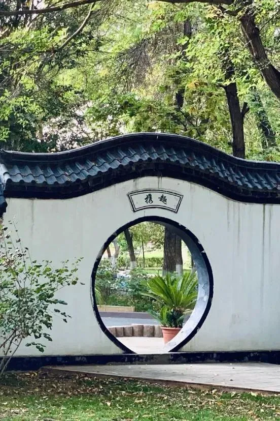 制定篮球交流计划以促进个人技能发展的方法_2